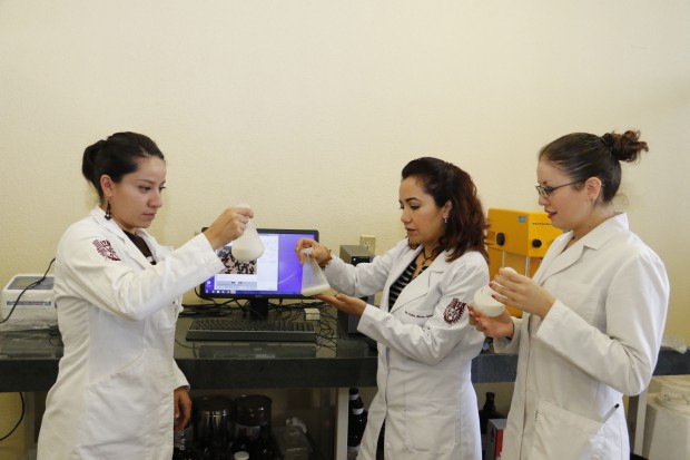 Descubren en IPN lactobacilo de aguamiel que previene colesterol y daño hepático