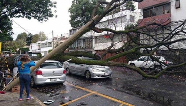 Suspende SEP clases en escuelas públicas y privadas de la Ciudad de México