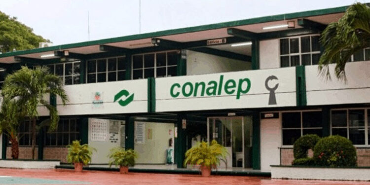 Van Alvarado Moreno a CONOCER y Rojas Navarrete a Conalep