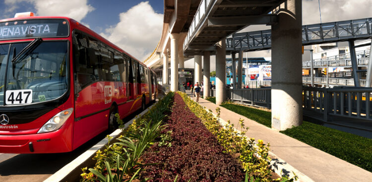 Con Inteligencia Artificial, egresada del IPN genera modelo para eficientar Metrobús de la Ciudad de México