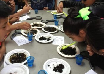 Niños y niñas participando en actividades educativas sobre el medio ambiente.