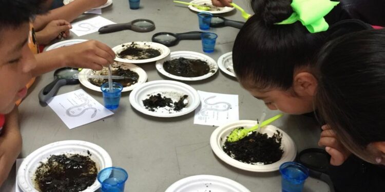 Niños y niñas participando en actividades educativas sobre el medio ambiente.