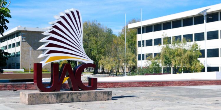 La educación superior en los estados: ¿Amontonamiento o coordinación?