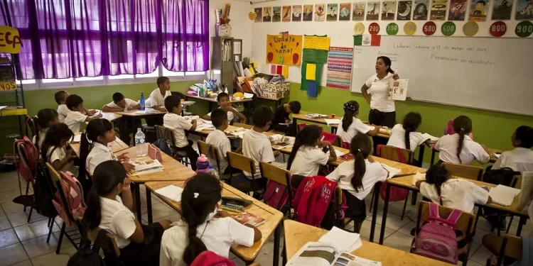 Un maestro orienta con cercanía a una estudiante en su proceso de aprendizaje.