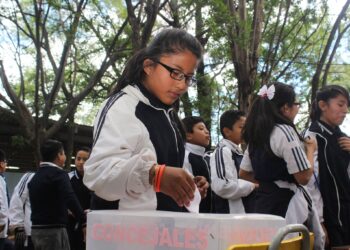 Los colores de la educación