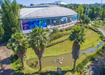 Por la renovación de la Rectoría en la UV