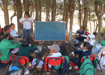 La necesaria construcción de la Estrategia Nacional Multigrado