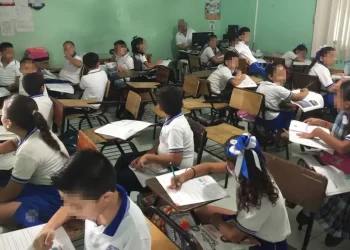 Gatopardismo en la educación: ¿Reforma o simulación?