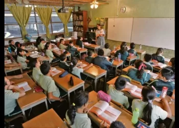 Enseñar ya no es suficiente