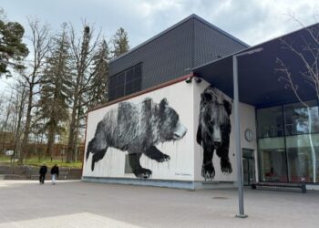 Educación en Finlandia: lo que podemos aprender y aplicar en México