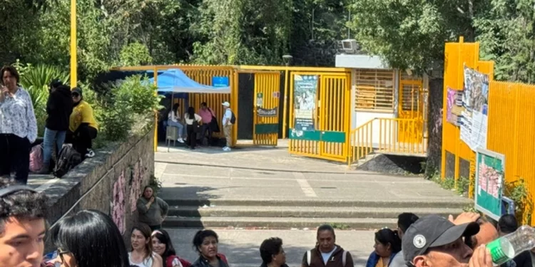 La seguridad en las Instituciones de Educación Superior: compromisos y límites