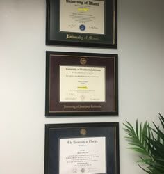 ¿Educamos personas para la vida o para acumular papeles y fotos?