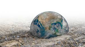 Ecocidios y la educación ambiental